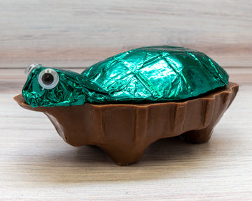 chocolate turtle